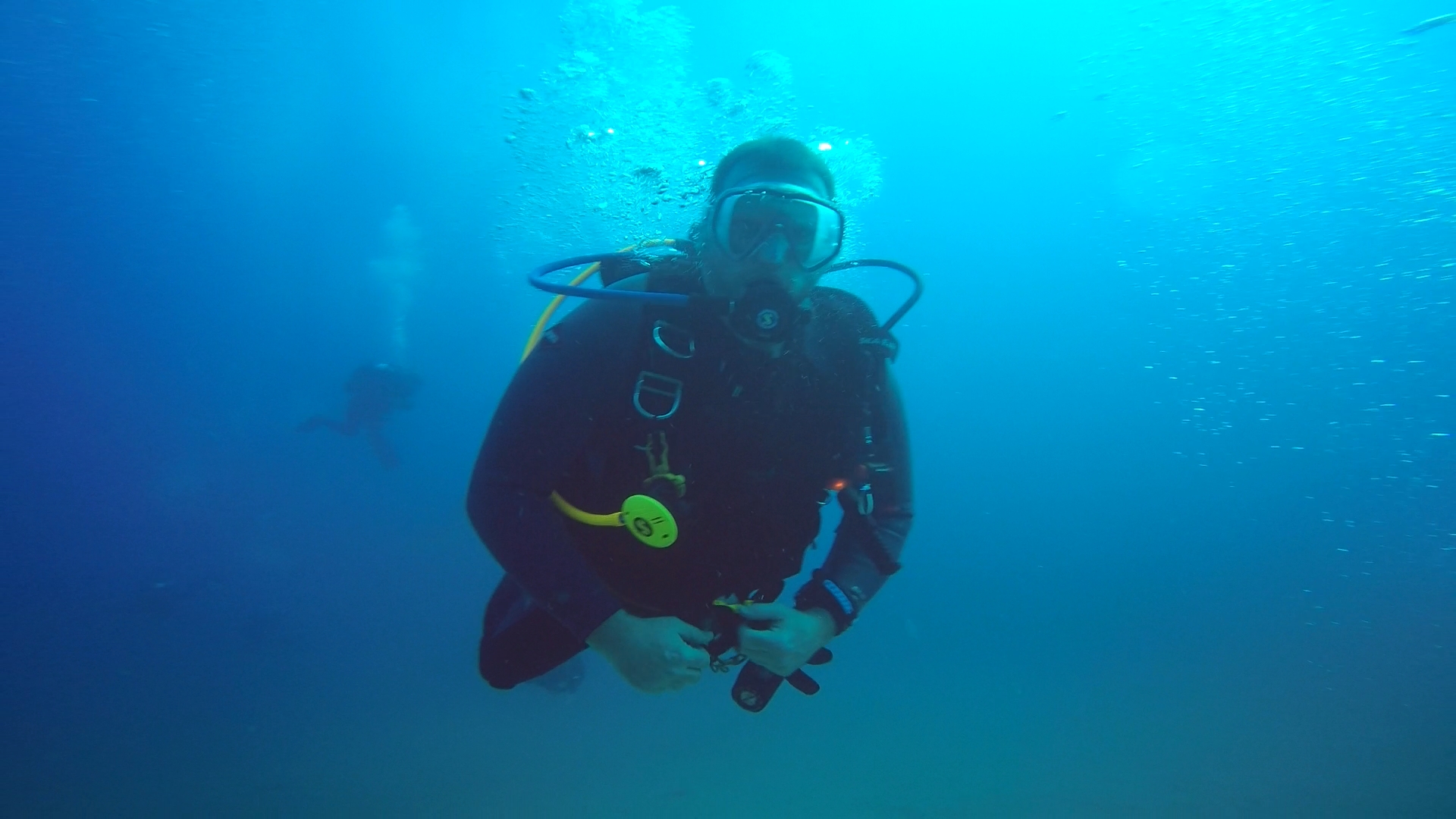 About Me – The Shark Diver's Log Book